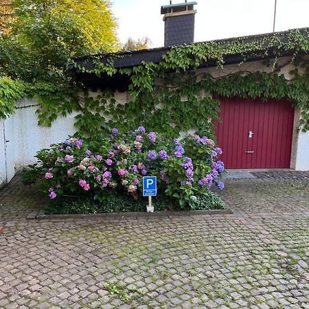 1 Zimmer Whg Waldfischbach 客房 照片