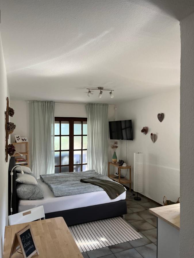 1 Zimmer Whg Waldfischbach 外观 照片